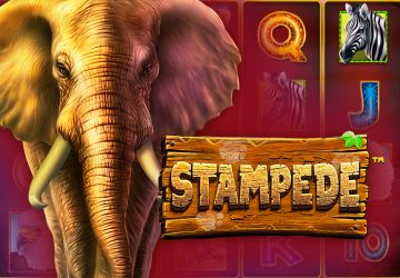 Stampede